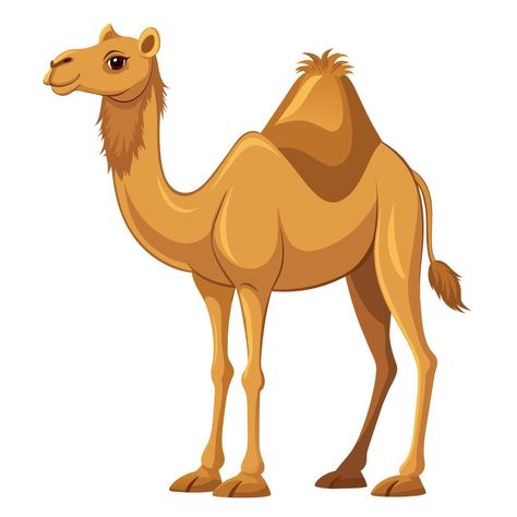 Desert Cartoon, Camel Illustration, Camels Illustration, Camel Art, Camel Animal, Camels Art, Rabbit Png, Desert Animals, 2d Illustration