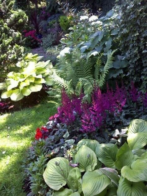 Amazing Landscaping, Shade Gardening, Shade Gardens, Beach Garden, Cabin Living, Italian Garden, Woodland Garden, Cool Ideas, Shade Plants