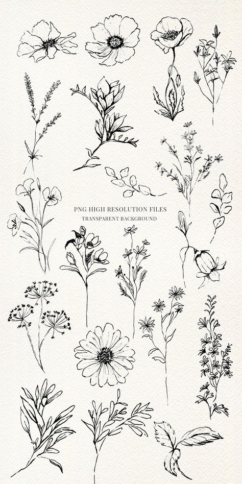 Wild Flowers Fine Line Clipart Hand Drawn Fine Art Graphic Florals Botanical Line Art, Hand Drawn Flowers, Daisies, Lavender - Etsy Wildflower Line Art, Line Clipart, Wildflower Drawing, Botanical Flowers Print, Botanical Line Art, Flowers Daisies, Line Art Flowers, Wildflower Tattoo, Flower Line Drawings