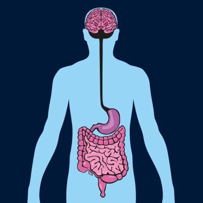 The Gut-Brain Axis: Connecting Your Brain and Microbiome - Ask The Scientists Gut Brain Axis Illustration, Gut Aesthetic, Gut Brain Axis, Nutrition Aesthetic, Medicine Aesthetic, Enteric Nervous System, Brain Illustration, Brainwave Entrainment, Happy Gut