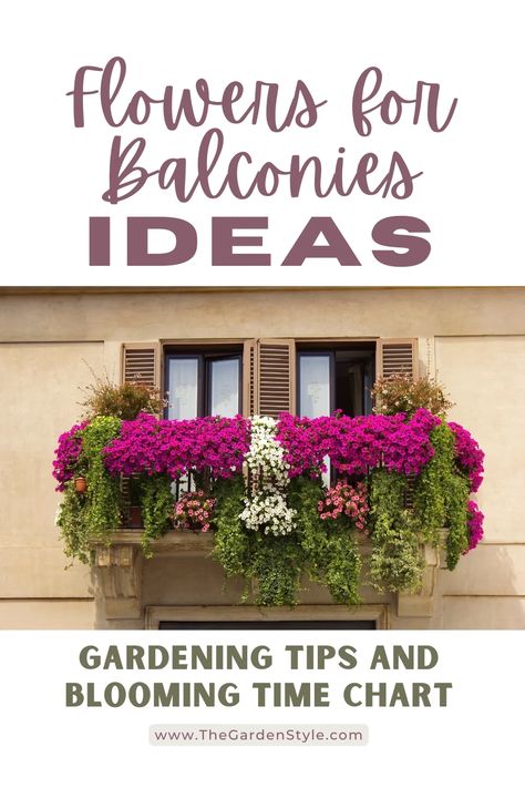 20 Beautiful Flowers Perfect for Your Balcony Garden - The Garden Style Window Flower Boxes, Balcony Oasis, Lantana Plant, Impatiens Plant, Balcony Flower Box, Plant Window, Small Balcony Garden, Balcony Flowers, Window Box Flowers