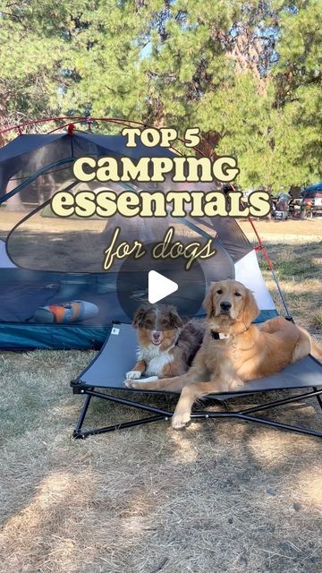 Camping Dog Hacks, Dog Camping Hacks, Dog Camping Essentials, Camping Hacks With Dogs, Camping With Dogs Hacks, Camping With A Dog, Camping Dog Bed, Ultralight Travel, Dog Station