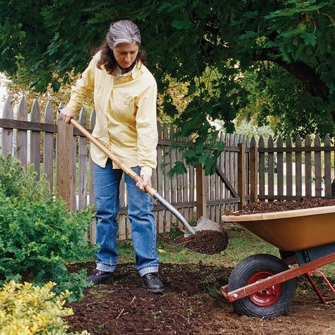 Shovel Backyard Raised Beds, Fall Garden Checklist, Cleaning Rusty Tools, Shed Renovation, Gardening On A Budget, Garden Checklist, Car Garden, Rusty Tools, Garden Improvement