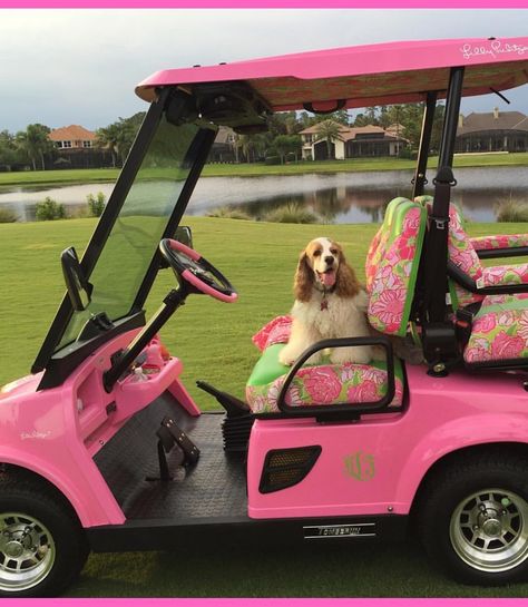 Pink Golf Cart, Fiat Jolly, Gold Cart, Street Legal Golf Cart, Vegas Aesthetic, Custom Golf Carts, Inside Car, Dream Life House, Preppy Girl