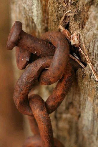 Rusty Chain, Rust Never Sleeps, Rust In Peace, Rusted Metal, Under My Skin, Peeling Paint, Rusty Metal, Chain Links, Beautiful Doors