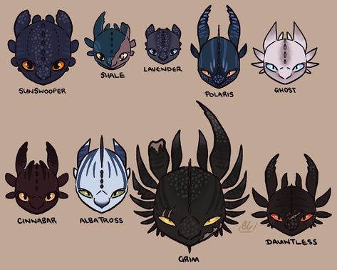 Httyd Night Light Oc, Httyd Oc Dragon, Night Fury Art, Httyd Dragons Oc, Nightfury Oc, Different Head Shapes, Night Fury Oc, Httyd Oc, Night Fury Dragon