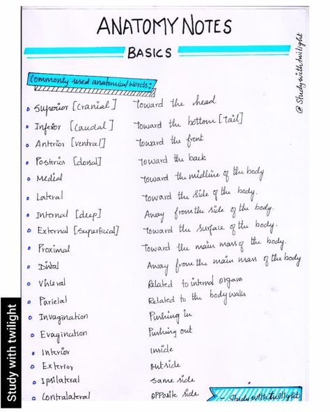 Anatomical terms / anatomy /basic anatomy Anatomy And Physiology Terminology, Anatomical Position Anatomy Notes, Anatomical Terms Notes, Directional Terms Anatomy Notes, A&p Study Tips Anatomy And Physiology, Anatomy Class Notes, Med Term Notes, Anatomy Physiology Notes, Physiotherapy Student Notes