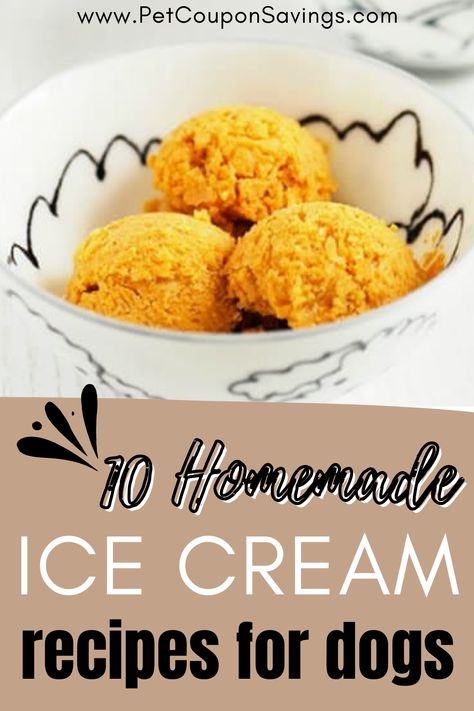 10 Homemade Ice Cream Recipes for Dogs Pup Ice Cream Recipe, Ice Cream Treats For Dogs, Ninja Creami Dog Ice Cream Recipes, Ice Cream For Dogs Recipes, Doggy Ice Cream Recipes, Pup Ice Cream, Diy Dog Ice Cream, How To Make Dog Ice Cream, Dog Ice Cream Recipe Greek Yogurt