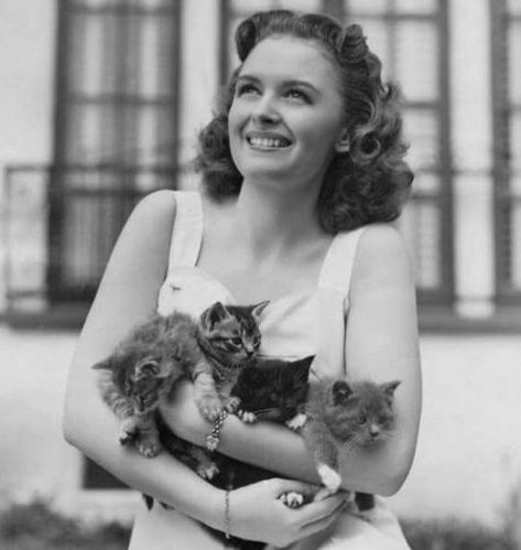 Twitter Celebrities With Cats, Engelberg, Donna Reed, Cat People, Vintage Cat, Crazy Cat Lady, Classic Hollywood, Beautiful Cats, Animals Friends