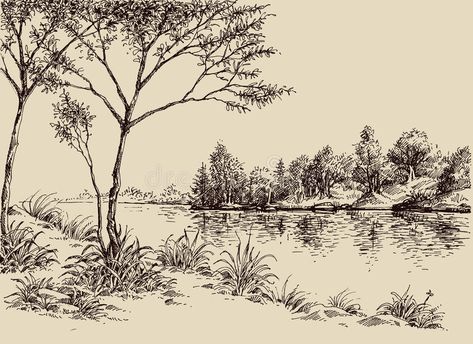 Hand drawn artistic landscape. River banks, trees and vegetation , #Ad, #artistic, #landscape, #Hand, #drawn, #trees #ad River Drawing, Paris Background, Vintage Flower Backgrounds, Artistic Landscape, Palm Tree Drawing, Landscape Pencil Drawings, Landscape Sketch, Hay Bales, River Bank