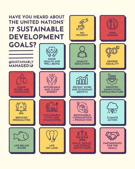 Grid Post with 17 squares. Have You Heard About the United Nations' 17 Sustainable Development Goals? 17 Sustainable Development Goals, Sdg Goals Poster, Sustainable Development Goals Poster, Sustainable Development Design, Sdgs Goals, Sustainable Development Projects, Poverty And Hunger, Baby Birthday Photoshoot, School Board Decoration