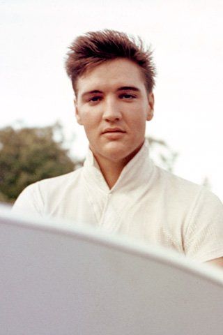 Facts About Elvis Presley, Elvis 1950s, Elvis Presley Facts, Graceland Mansion, Dream Inspiration, Graceland Elvis, Marcus Butler, Elvis Presley Graceland, King Creole