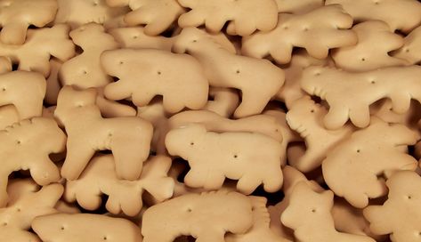 Frosted Animal Crackers, Animal Cracker, Cereal Cookies, Food Holidays, Cereal Treats, National Animal, Melting White Chocolate, Cracker Recipes, Snack Items