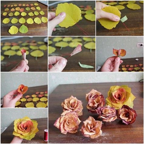 DIY Roses from Autumn Leaves How To Make Rose, Rose Belle, Diy Leaves, Rose Tutorial, Deco Nature, Fabulous Diy, Diy Roses, Leaf Crafts, Autumn Crafts