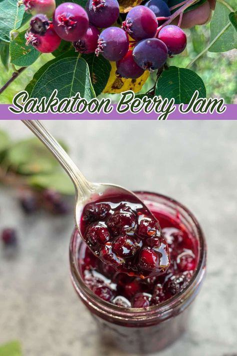 Saskatoon Berry Jam Recipe, Saskatoon Syrup Recipe, Saskatoon Berry Jam, Saskatoon Jam, Saskatoon Recipes, Assyrian Recipes, Service Berry, Berry Jam Recipe, Easy Jam Recipe