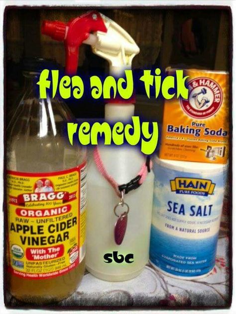 8oz apple cider vinegar, 4oz of warm water. 1/2 tsp of baking soda and 1/2 tsp of sea salt. Combine in spray bottle. (Do not use the sprayer until salt and baking soda are dissolved) Homemade Flea Spray, Flea Remedies, Pet Remedies, Flea And Tick Spray, Tick Spray, Tick Removal, Flea Spray, Dog Remedies, Cat Spray