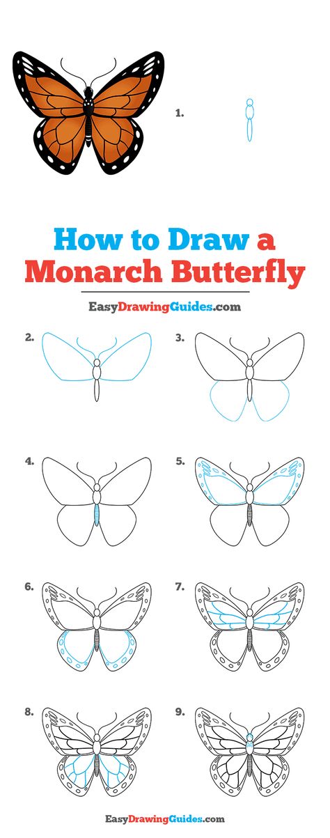 How to Draw a Monarch Butterfly Step by Step Tutorial Image How To Draw A Monarch Butterfly Step By Step, How To Draw A Monarch Butterfly Easy, Easy Monarch Butterfly Painting, Monarch Butterfly Drawing Easy, Easy Butterfly Drawing Step By Step, Easy Butterfly Painting Simple, Draw Monarch Butterfly, How To Draw A Butterfly Easy, How To Draw Butterfly Step By Step Easy