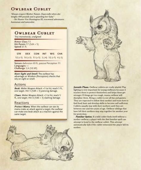 Homebrew Familiar Dnd, Dnd 5e Homebrew Familiars, Dnd Homebrew Companions, Dnd 5e Homebrew Pets, Dnd Homebrew Animals, Familiar Dnd 5e, Fox Familiar Dnd, Dnd Cute Monsters, Find Familiar Dnd