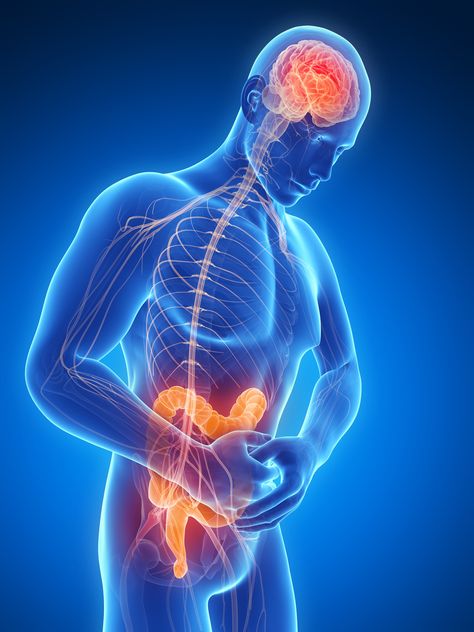 New study suggests that for some, the two conditions arise from the same glitch in neuron chemistry--low serotonin levels Inflammatory Bowel, Chronic Constipation, Gastrointestinal Disorders, Mount Sinai, Questions To Ask, Genetic, Side Effects, Just In Case, Disease