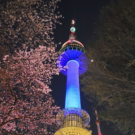 🌸 Korean Cherry Blossom Scenes 🌸 Cherry blossoms at night at the N Seoul Tower. I recommend visiting the N Seoul Tower at night so you can see the city night lights all around you (it's much prettier than in the day). You can also see these beautiful blossoms lit up under the tower, which contrast nicely. There are some really nice blossom scenes with traditional fortress walls and the N Seoul Tower which honestly look good any time of the day. #cherryblossoms #cherryblossomskorea #spring... Korean Cherry Blossom, Cherry Blossoms At Night, City Night Lights, N Seoul Tower, Seoul Tower, City Night, The Tower, Night Lights, Cherry Blossoms