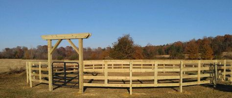 Wood Round Pens For Horses, Wooden Round Pen For Horses, Horse Round Pen Ideas, Round Pen Ideas, Diy Round Pen, Horse Round Pen, Show Cattle Barn, Round Pens For Horses, Equestrian Barns