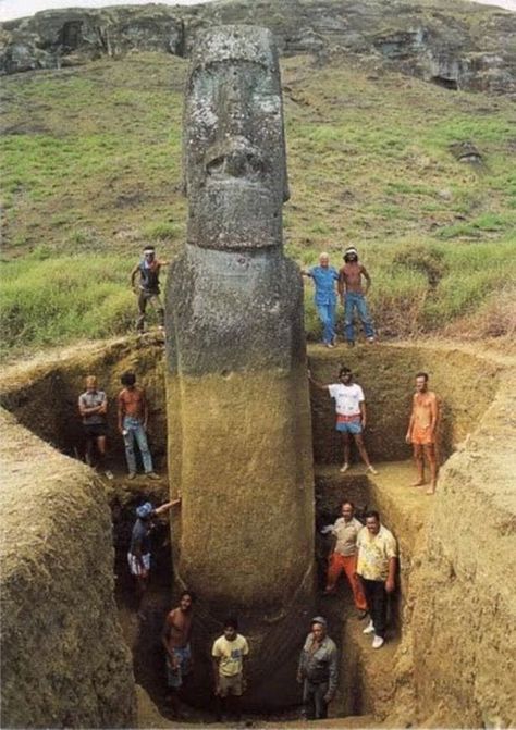 Locals: Rapa Nui people from the island are involved in excavations Easter Island Moai, Easter Island Heads, Easter Island Statues, Archaeological Discoveries, Easter Island, Stone Statues, Ancient Mysteries, Ancient Aliens, Ancient Artifacts