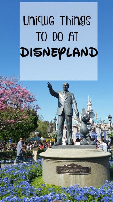 Fun and Unique Things to do at Disneyland Things To Do At Disneyland, Disneyland Florida, Disneyland 2024, Pink Pirate, California With Kids, Travel Tuesday, Disneyland Secrets, Disneyland Food, Disneyland Tips