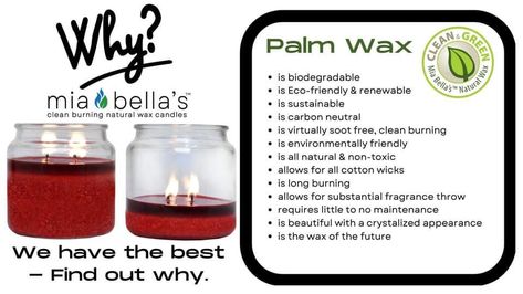 Mia Bella Candles, Palm Wax Candles, Mia Bella, Vegetable Protein, Crushed Stone, Candle Business, Natural Candles, Tree Free, Melting Candles