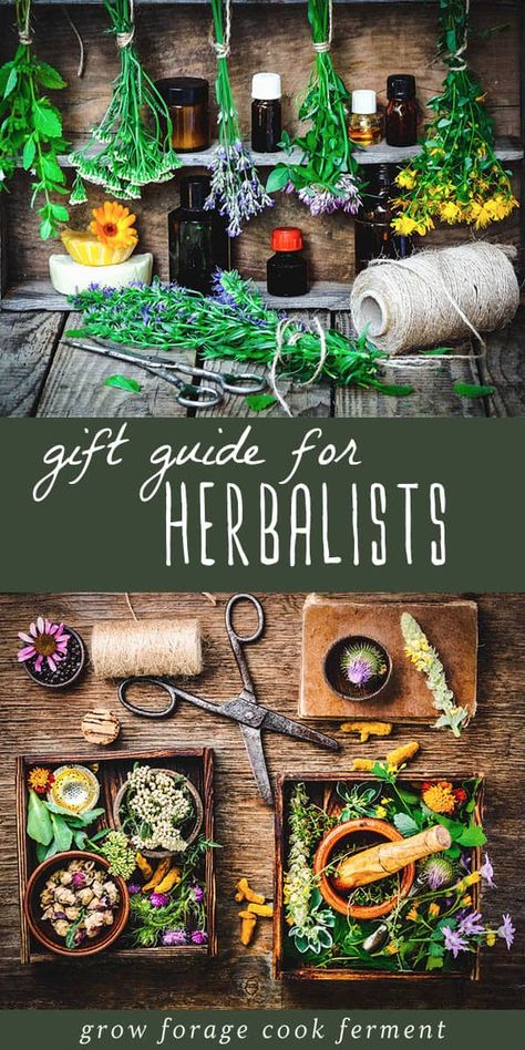 Apothecary Herbs, Herbalist Shop, Herbal Medicine Cabinet, Medicine Gift, Herbal Vinegar, Herbal Coffee, Herbal Medicine Recipes, Herbal Remedies Recipes, Herbal Salves