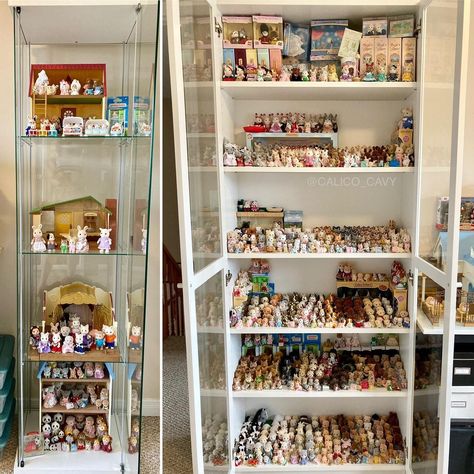 Sylvanian Families Collection, Trinket Organization, Calico Critters Storage Ideas, Nom Noms Toys, Collection Room, Calico Critters Families, Calico Critter, Sylvanian Family, Current Obsession