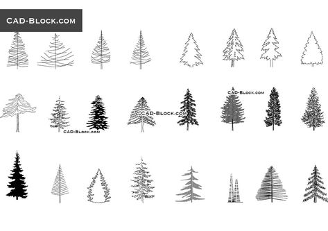 Homeschool Units, Pine Tree Drawing, Cad Blocks Free, Coniferous Trees, Landscape Architecture Drawing, Simple Drawings, Tree Sketches, Conifer Trees, Tree Images