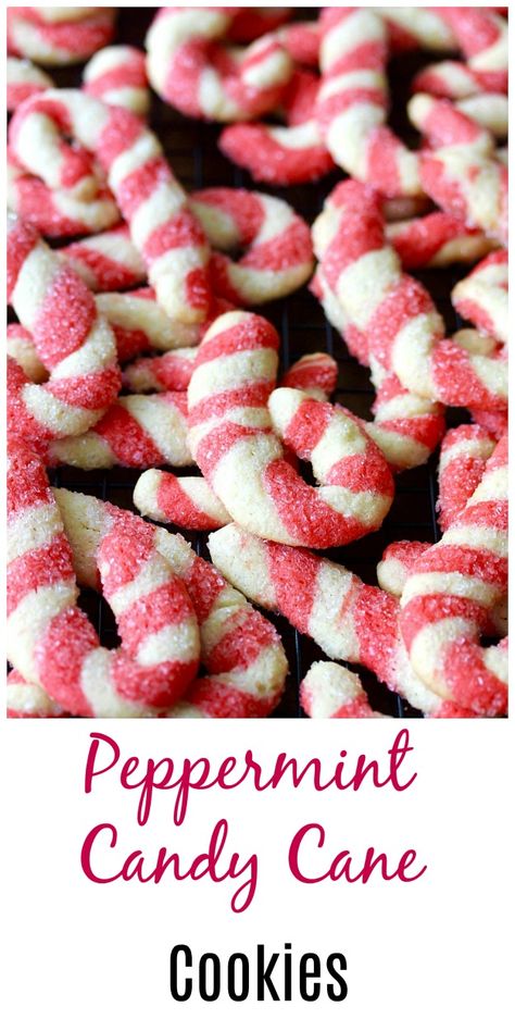 Peppermint Candy Cane Cookies Christmas Peppermint Cookies, Christmas Cookies Peppermint, Candy Cane Brownies, Cookies Peppermint, Candy Cane Dessert, Peppermint Recipes, Baked Doughnuts, Christmas Peppermint, Candy Cane Cookies