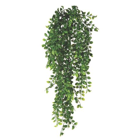 Vickerman 31" Artificial Green Mini Leaf Hanging Bush - 2/pk Tree Photoshop, Human Scale, Artificial Plants And Trees, Png Flower, Green Texture, Flower Spray, Exterior Stone, Event Inspiration, Plastic Flowers