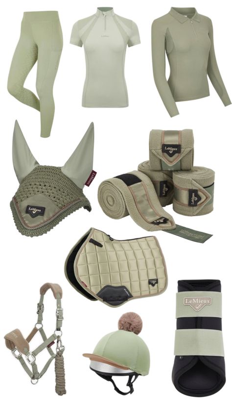 Tack Sets English, Horse Tack Sets, Show Jumper, Horse Riding Outfits, Horse Outfits, English Horse Tack, Horse Clothes, Horsey Life, Equestrian Equipment