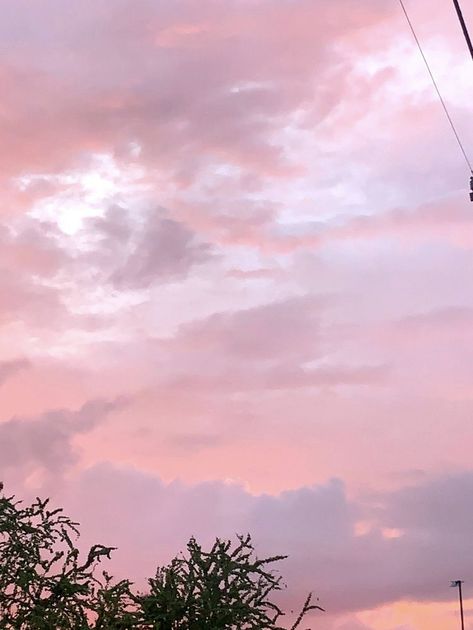 The Color Pink Aesthetic, Light Pink Sunset Aesthetic, Spring Pink Aesthetic, Pink Simple Aesthetic, Pink Hour Aesthetic, Aesthetic Pink Images, Pink Spring Wallpaper, Pink Aethstetic, Pink Nature Aesthetic