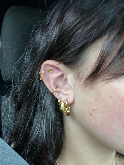 Gold studs & hoops. Conch piercing, flat piercings, double helix piercing, lob piercings. Conch Piercings Ear, Conch Helix And Lobe Piercing, Conch Earring Ideas, Double Conch Piercing Hoop, Double Conch Piercing Studs, Double Orbital Piercing, Double Helix And Conch, Flat Ear Piercings Ideas, Earring Placements