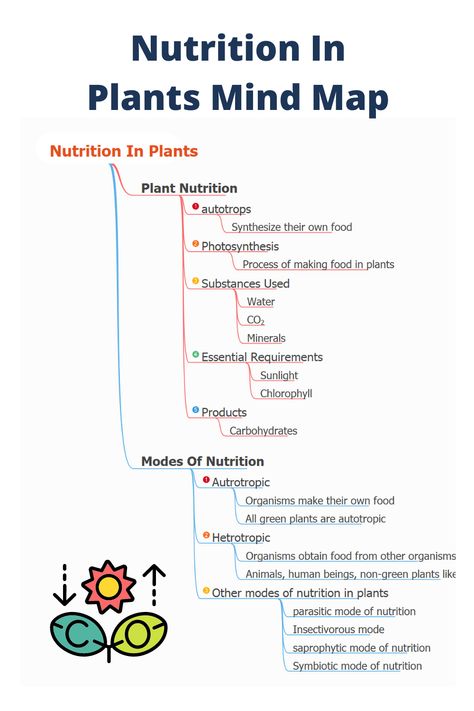 Learn about nutrition in plants and modes of nutrition in plants Nutrition Class 10 Notes, Nutrition In Amoeba Notes, Life Processes Class 10 Mind Map, Class 10 Life Processes Mind Map, Nutrition In Plants Class 7 Notes, Nutrition In Plants Class 7, Nutrition Notes, Calender Print, Nutrition In Plants