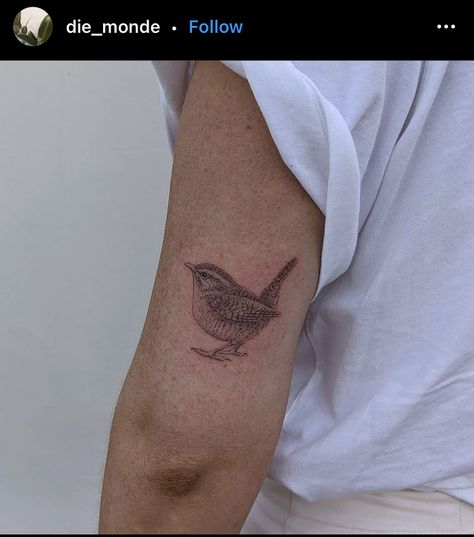 Wren Bird Tattoo Simple, Bird Tattoo Robin, Wren Tattoos For Women, Small Wren Bird Tattoo, Floral Robin Tattoo, Carolina Wren Tattoo, Wren Tattoos, Wren Tattoo, Hydrangea Tattoo