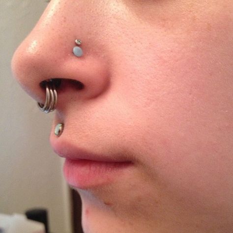 stacked rings in stretched septum, double nostril, medusa piercings Ranger Tattoo, Piercing Ideas For Women, Crazy Piercings, Stretched Septum, Philtrum Piercing, Double Nose Piercing, Septum Piercings, Medusa Piercing, Face Piercings