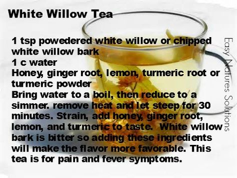 White Willow Bark Tea for Headaches, backaches, migraines, arthritis, and bursitis. www.easynaturessolutions.com White Willow Bark Tea, Tea For Headaches, Willow Bark Tea, Herbal Knowledge, Teas For Headaches, White Willow Bark, Herbal Remedies Recipes, For Headaches, White Willow