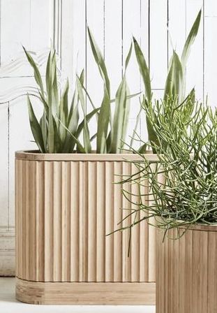 Planter Box Designs, Timber Planters, Plant Troughs, Bamboo Privacy, Bamboo Planter, Bamboo Plant, Plant Box, Bamboo Fence, Planter Table