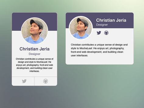 Profile Card Ui, Profile Card Design, Login Page Design, Simple Profile, Character Background, Card Ui, Web Software, User Story, Character Profile