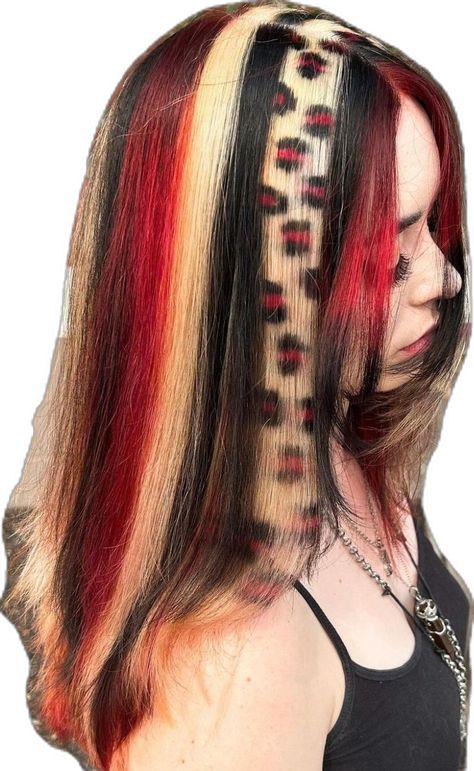 Tiger Hair, Cheetah Hair, Hair Stripes, Skunk Hair, Leopard Print Hair, Y2k Hairstyles, Hair Inspiration Long, Hair Streaks, Dyed Hair Inspiration