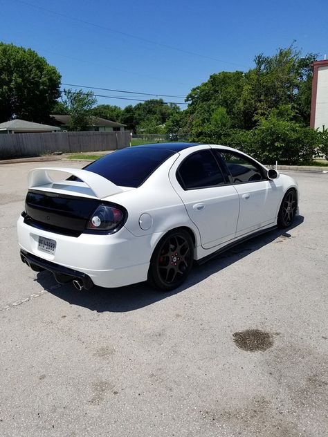 Srt4 Neon, Dodge Srt 4, Send Me Money, Dodge Sedan, Jeep Srt, Neon Ideas, Neon Car, Chevy Cobalt, Dodge Srt