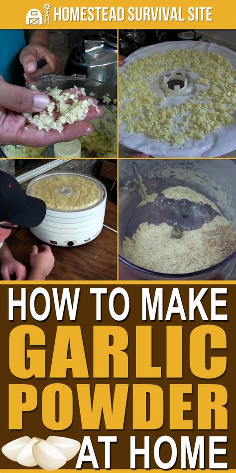 Garlic Powder Recipe, Homestead Tips, Diy Seasonings, Dehydrated Garlic, Dehydrating Food Storage, Dehydrating Food, Homemade Seasoning, How To Make Chili, Preserving Foods