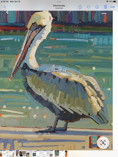 Rene Wiley, Pelican Art, Gallery Artwork, Illustration Photo, Arte Animal, Coastal Art, Dog Paintings, Fish Art, Wildlife Art