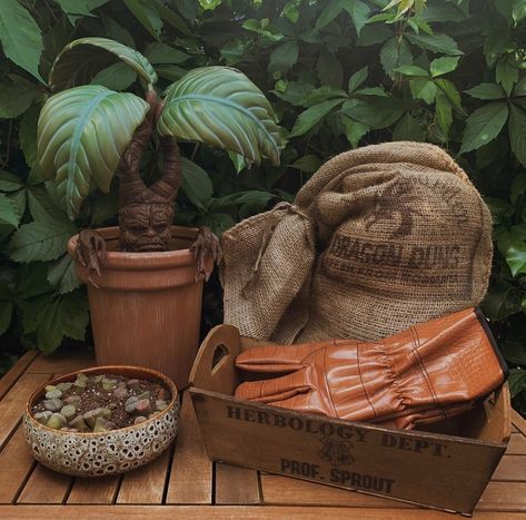 Harry Potter Botanical, Harry Potter Cottagecore, Herbology Aesthetic Harry Potter, Harry Potter Herbology Aesthetic, Hogwarts Herbology Aesthetic, Harry Potter Village Display, Harry Potter Herbology Decor, Herbology Garden, Herbology Harry Potter