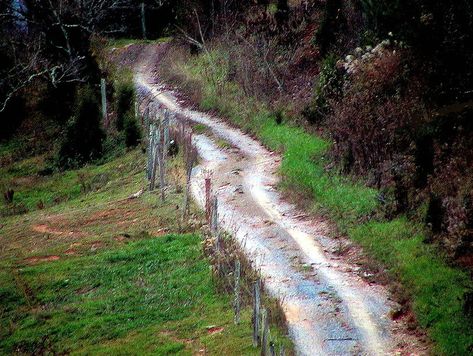 Appalachian back road leading to the granny witches house Granny Magic, Cumberland Gap, Tennessee Nashville, Serbia Travel, Carolina Mountains, Folk Magic, North Carolina Mountains, Magical Life, Southern Gothic