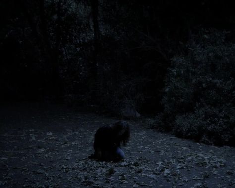 Blair Witch Aesthetic, Blair Witch Project Aesthetic, Into The Forest Movie, Blair Witch Project, Blair Witch, Silver Springs, Spencer Hastings, Witch Aesthetic, Movie Stills