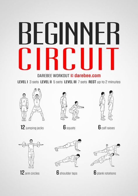 Beginner Circuit Workout Circuit Abs Workout, Beginner Circuit Workout, Circle Workout, Circuit Workouts, Workouts Cardio, Circuit Training Workouts, Arm Circles, Core Work, Calf Raises